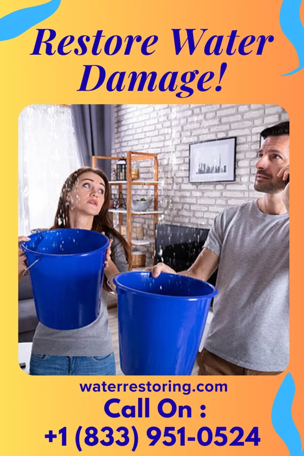water restoration Total Water Mitigation Partners South Solon