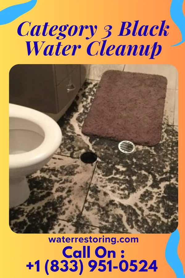 Category 3 Black Water Cleanup in South Solon, OH