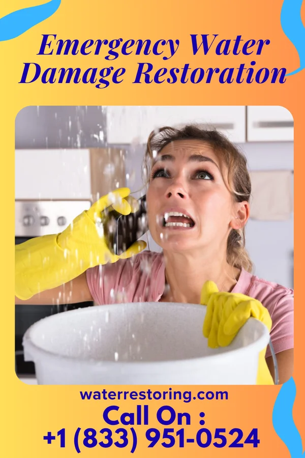 Emergency Water Damage Restoration in South Solon, OH