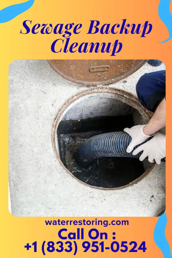 Sewage Backup Cleanup in South Solon, OH