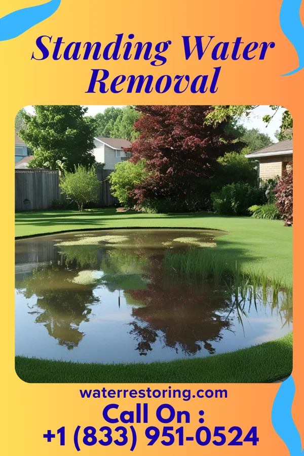 Standing Water Removal in South Solon, OH